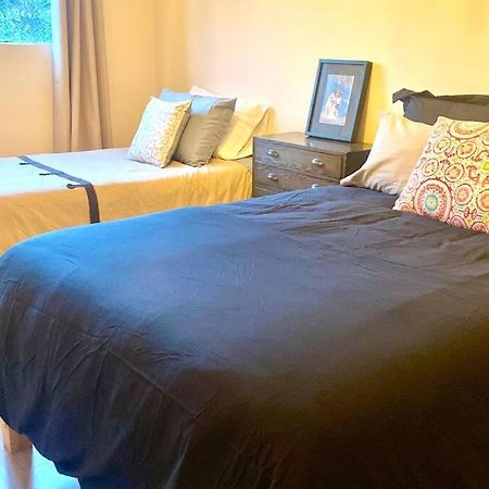 Amazing Cozy Apartment In Condesa Мексико Сити Екстериор снимка