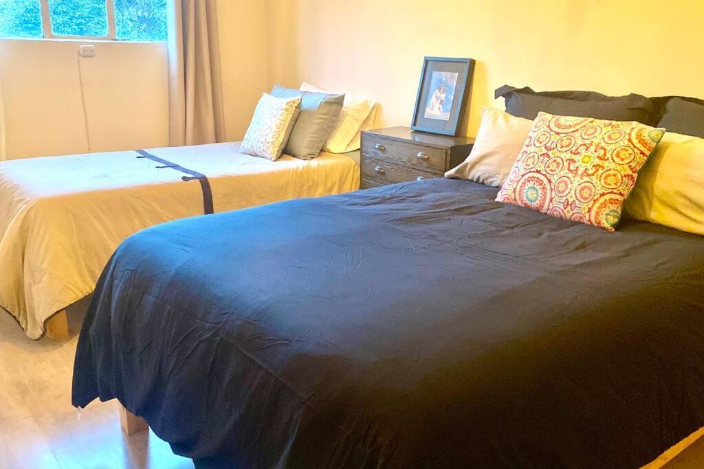 Amazing Cozy Apartment In Condesa Мексико Сити Екстериор снимка