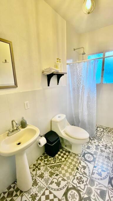 Amazing Cozy Apartment In Condesa Мексико Сити Екстериор снимка